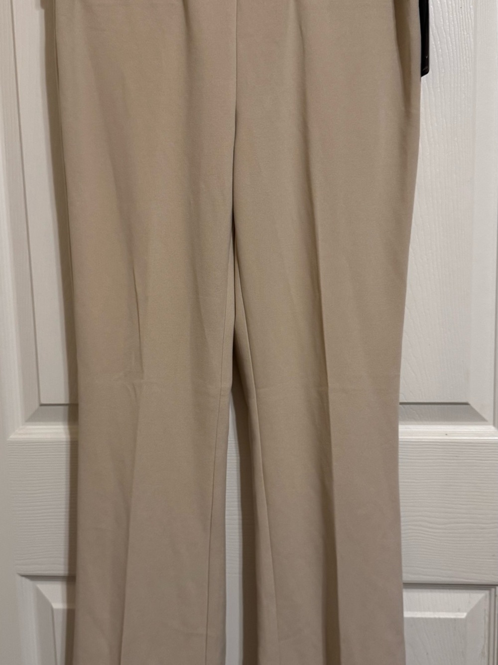 Women's Tailored Wide-Leg Pants in Light Taupem